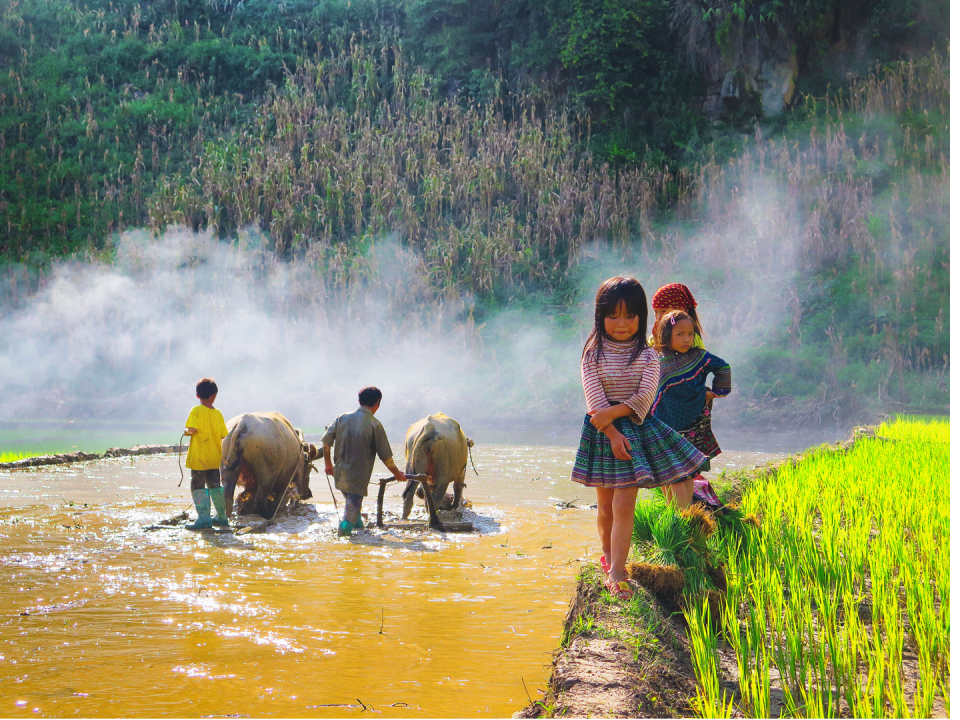 Immersion chez les Hmong blancs à Seo Lung